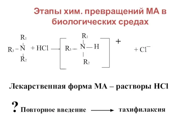 Этапы хим. превращений МА в биологических средах R3 N R1 R2