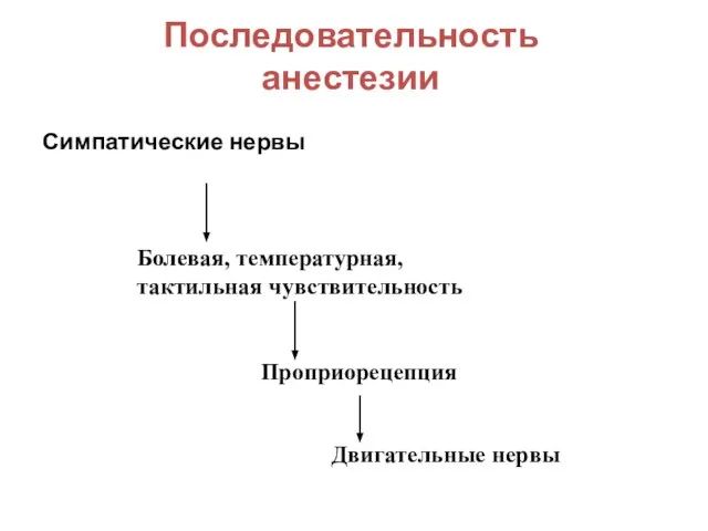 Последовательность анестезии Симпатические нервы Болевая, температурная, тактильная чувствительность Проприорецепция Двигательные нервы