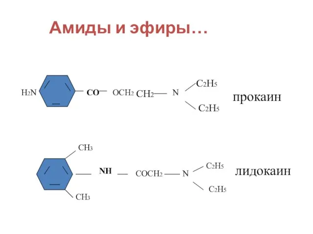 Амиды и эфиры… ОСН 2 СН2 N C2H5 C2H5 CO H2N