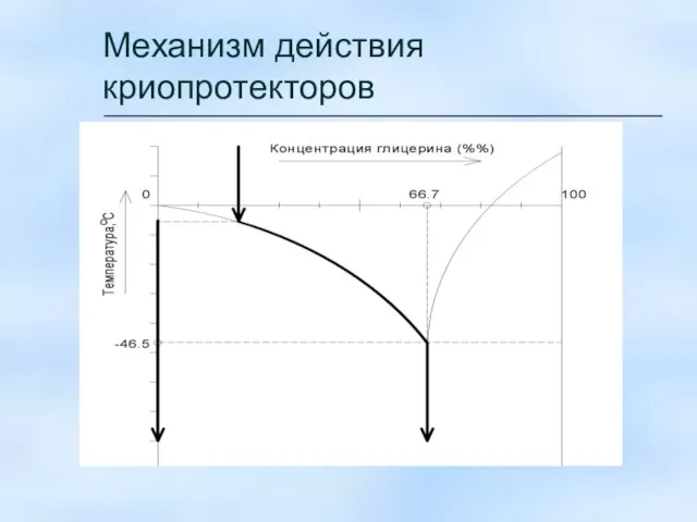 Механизм действия криопротекторов