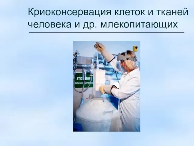 Криоконсервация клеток и тканей человека и др. млекопитающих