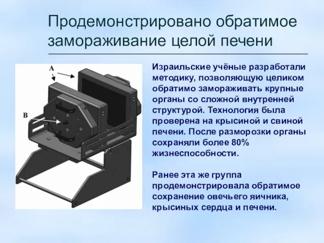 Продемонстрировано обратимое замораживание целой печени Израильские учёные разработали методику, позволяющую целиком