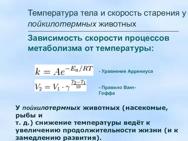 Температура тела и скорость старения у пойкилотермных животных Зависимость скорости процессов