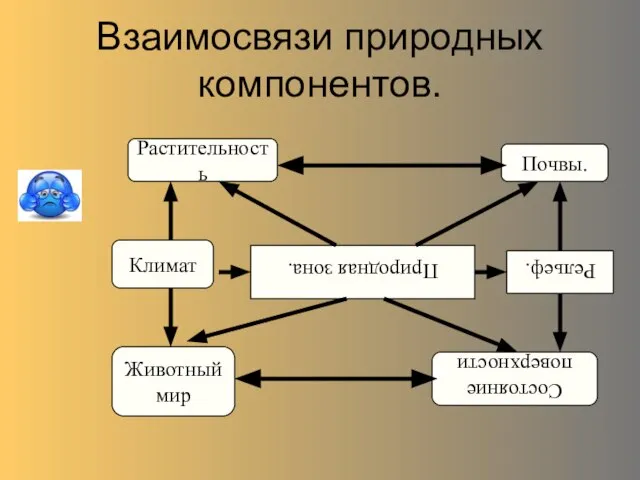 Взаимосвязи природных компонентов. Природная зона. Почвы. Рельеф. Состояние поверхности Растительность Климат Животный мир