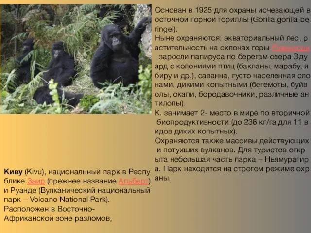 Киву (Kivu), национальный парк в Республике Заир (прежнее название Альберт) и