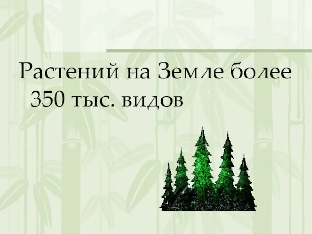 Растений на Земле более 350 тыс. видов