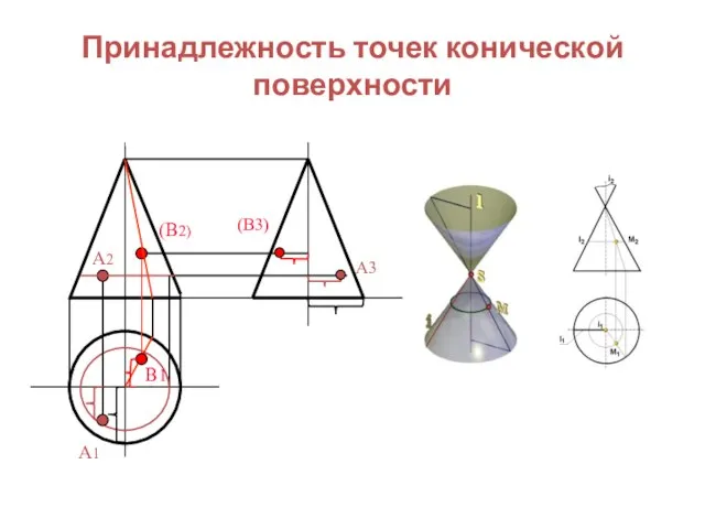 Принадлежность точек конической поверхности А2 А1 (В2) В1 (В3) А3