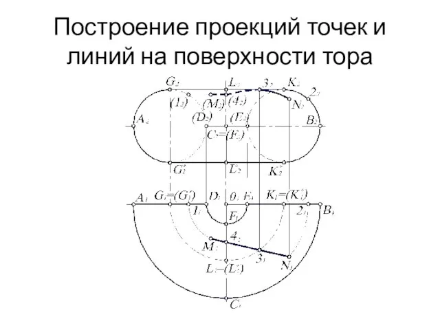 Построение проекций точек и линий на поверхности тора