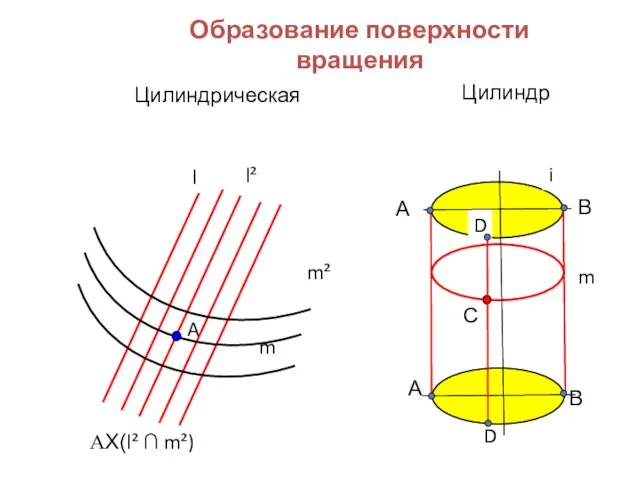 Образование поверхности вращения Цилиндрическая l m A l² m² ΑX(l² ∩