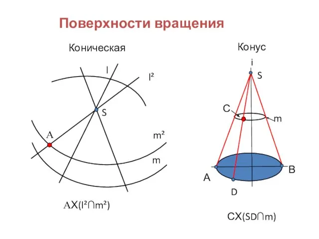 Поверхности вращения Коническая S l m m² l² Α ΑX(l²∩m²) Конус