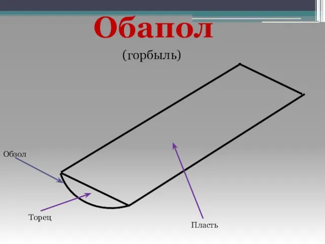 Обапол Пласть Торец (горбыль) Обзол