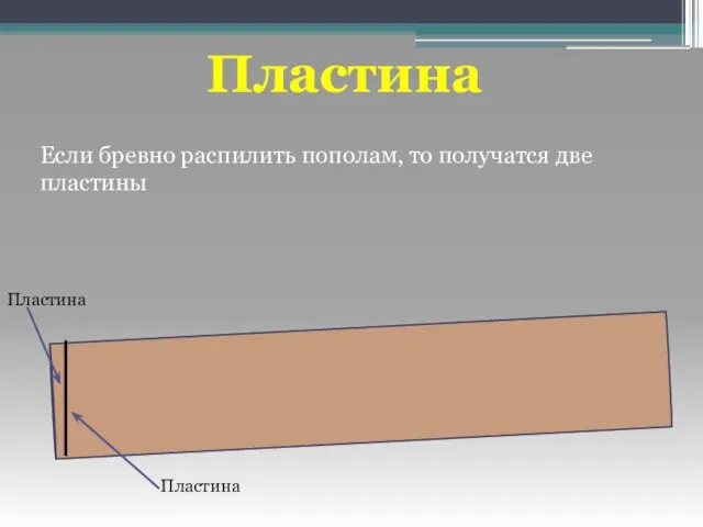 Пластина Если бревно распилить пополам, то получатся две пластины Пластина Пластина