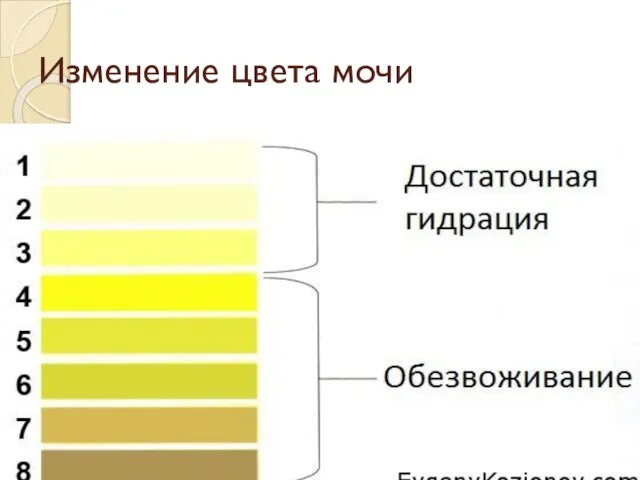 Изменение цвета мочи