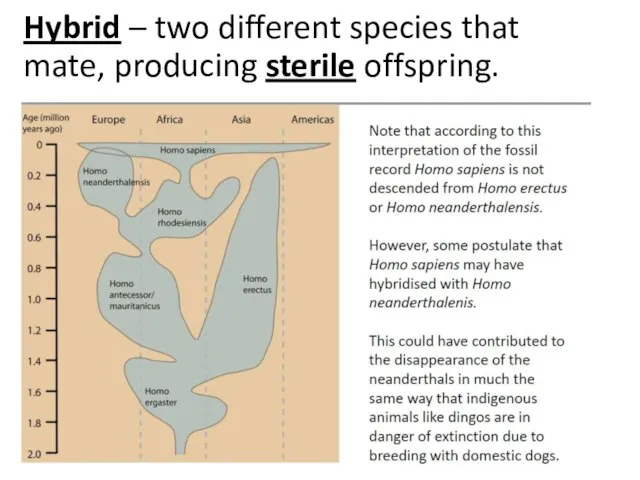 Hybrid – two different species that mate, producing sterile offspring.