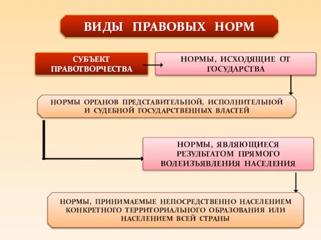 ВИДЫ ПРАВОВЫХ НОРМ НОРМЫ ОРГАНОВ ПРЕДСТАВИТЕЛЬНОЙ, ИСПОЛНИТЕЛЬНОЙ И СУДЕБНОЙ ГОСУДАРСТВЕННЫХ ВЛАСТЕЙ