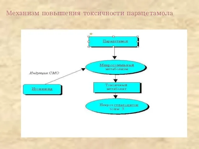 Механизм повышения токсичности парацетамола