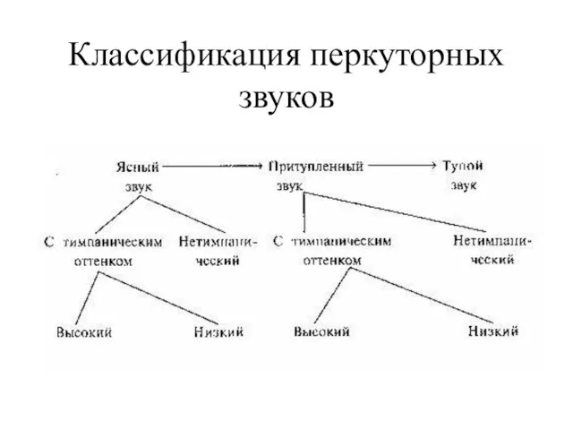 Классификация перкуторных звуков