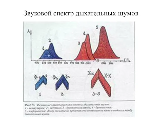 Звуковой спектр дыхательных шумов