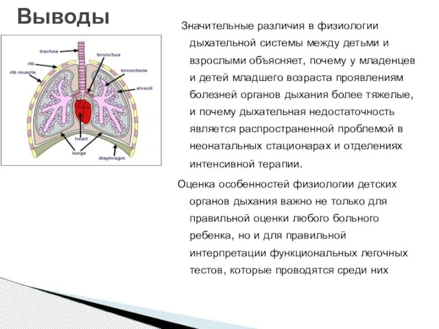 Значительные различия в физиологии дыхательной системы между детьми и взрослыми объясняет,