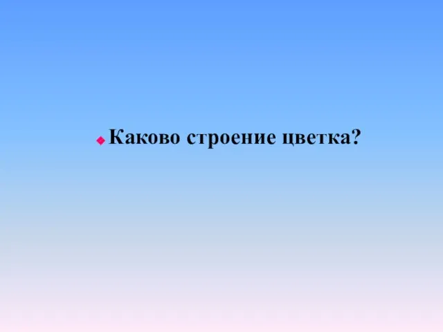 Каково строение цветка?