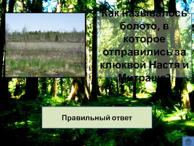 Как называлось болото, в которое отправились за клюквой Настя и Митраша? Блудово болото Правильный ответ