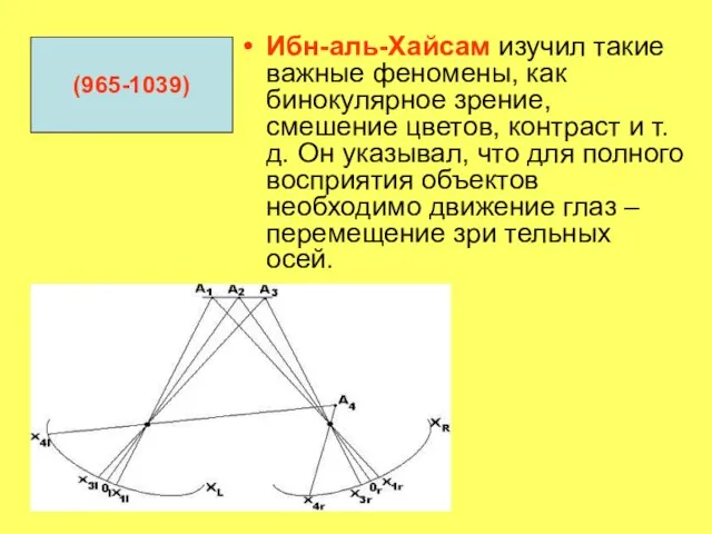 Ибн-аль-Хайсам изучил такие важные феномены, как бинокулярное зрение, смешение цветов, контраст