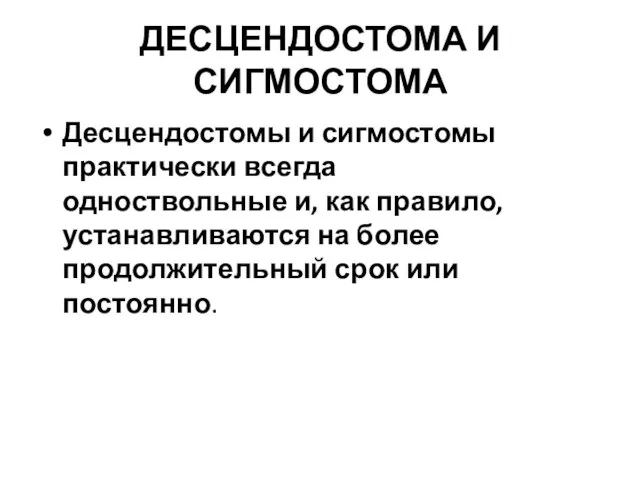 ДЕСЦЕНДОСТОМА И СИГМОСТОМА Десцендостомы и сигмостомы практически всегда одноствольные и, как