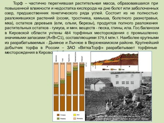 Торф – частично перегнившая растительная масса, образовавшаяся при повышенной влажности и