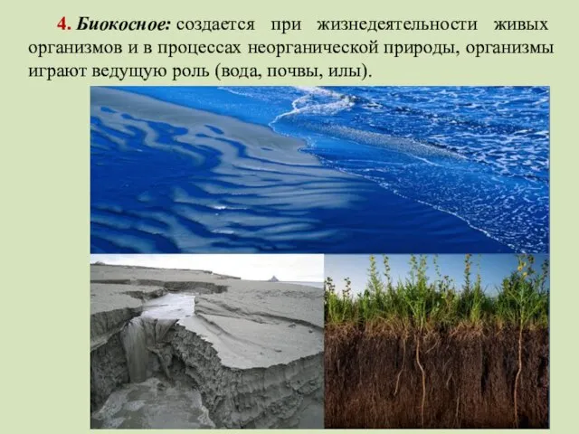 4. Биокосное: создается при жизнедеятельности живых организмов и в процессах неорганической