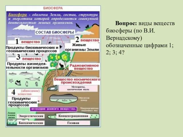 Вопрос: виды веществ биосферы (по В.И. Вернадскому) обозначенные цифрами 1; 2; 3; 4?