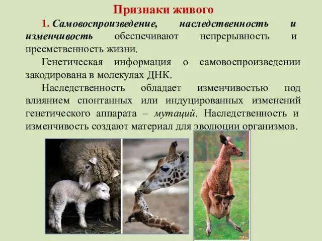 Признаки живого 1. Самовоспроизведение, наследственность и изменчивость обеспечивают непрерывность и преемственность