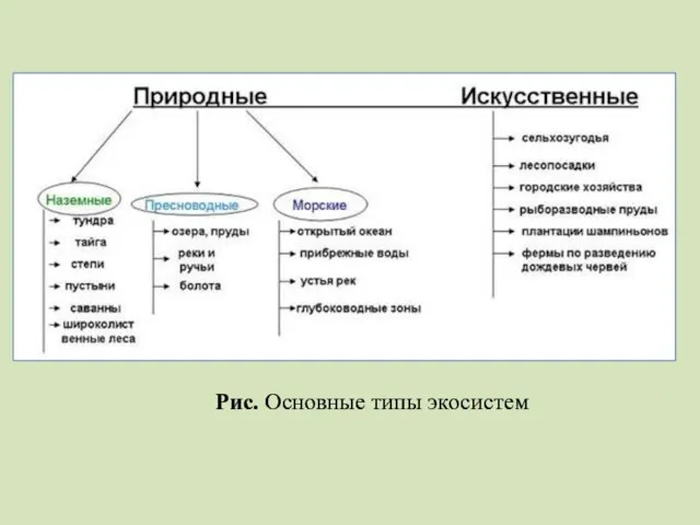 Рис. Основные типы экосистем