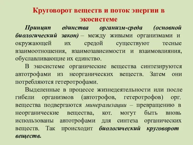 Круговорот веществ и поток энергии в экосистеме Принцип единства организм-среда (основной