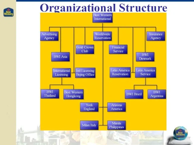 Organizational Structure