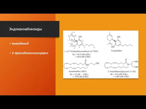 Эндоканнабиноиды Анандамид 2-арахидоноилглицерол