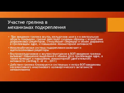 Участие грелина в механизмах подкрепления При введении грелина внутрь желудочков мозга