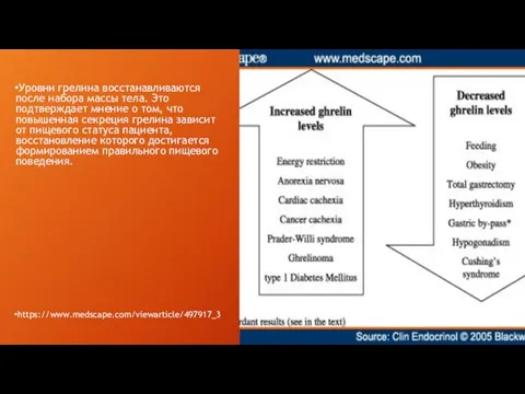 Уровни грелина восстанавливаются после набора массы тела. Это подтверждает мнение о