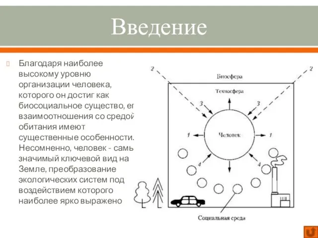 Введение Благодаря наиболее высокому уровню организации человека, которого он достиг как