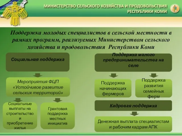 Поддержка молодых специалистов в сельской местности в рамках программ, реализуемых Министерством