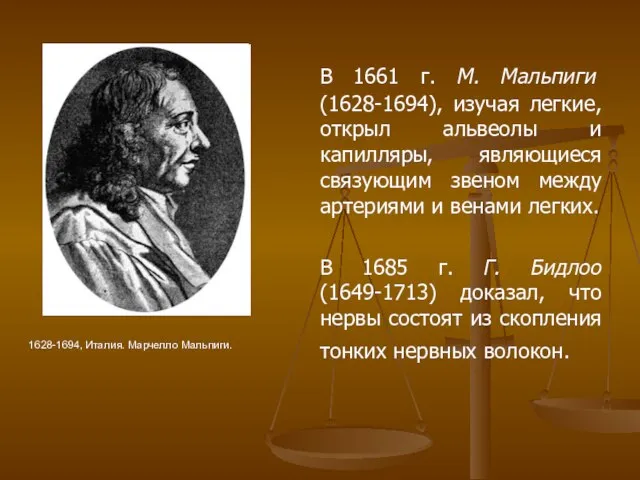 В 1661 г. М. Мальпиги (1628-1694), изучая легкие, открыл альвеолы и