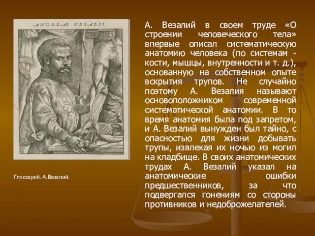 А. Везалий в своем труде «О строении человеческого тела» впервые описал