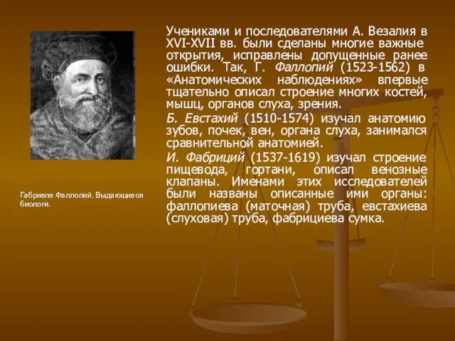 Учениками и последователями А. Везалия в XVI-XVII вв. были сделаны многие