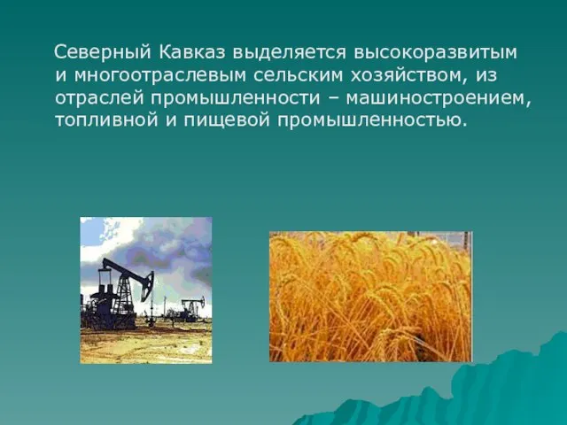 Северный Кавказ выделяется высокоразвитым и многоотраслевым сельским хозяйством, из отраслей промышленности