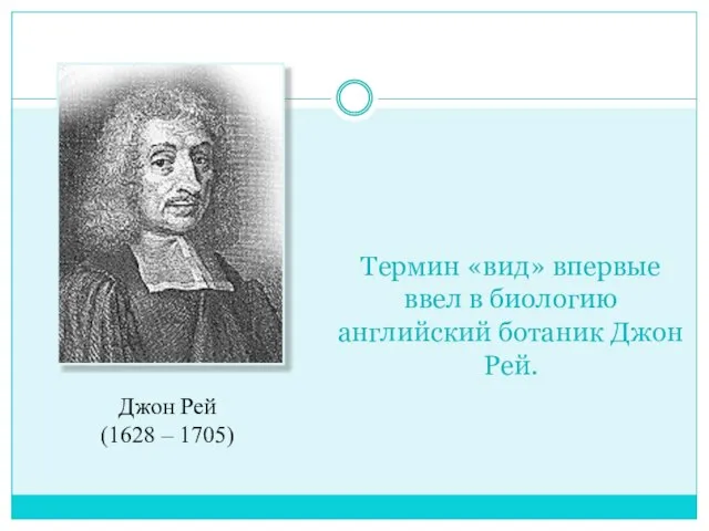 Термин «вид» впервые ввел в биологию английский ботаник Джон Рей. Джон Рей (1628 – 1705)