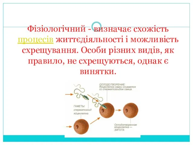 Фізіологічний - визначає схожість процесів життєдіяльності і можливість схрещування. Особи різних