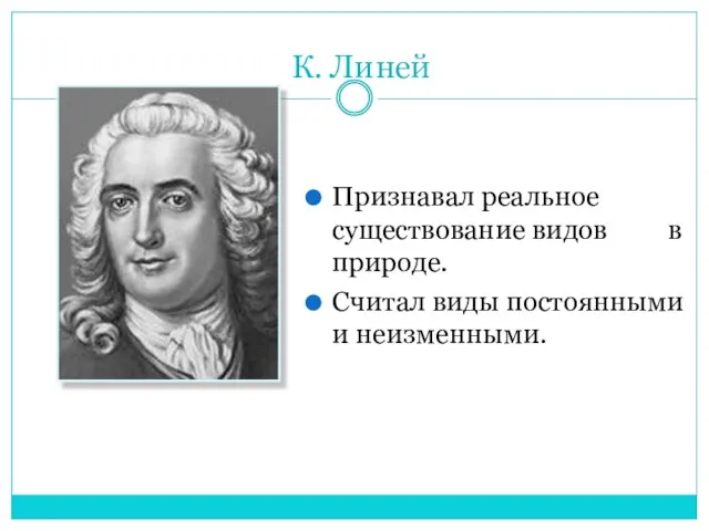 К. Линей Признавал реальное существование видов в природе. Считал виды постоянными и неизменными.