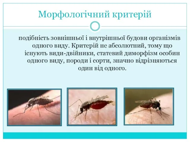 Морфологічний критерій подібність зовнішньої і внутрішньої будови організмів одного виду. Критерій