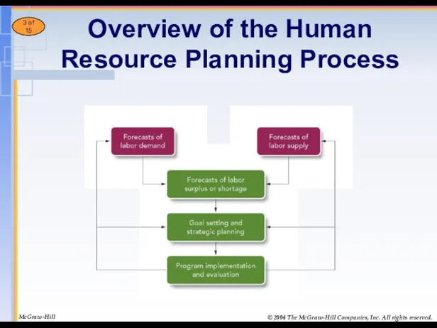 Overview of the Human Resource Planning Process McGraw-Hill © 2004 The