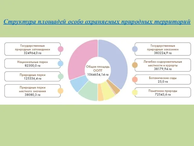 Структура площадей особо охраняемых природных территорий