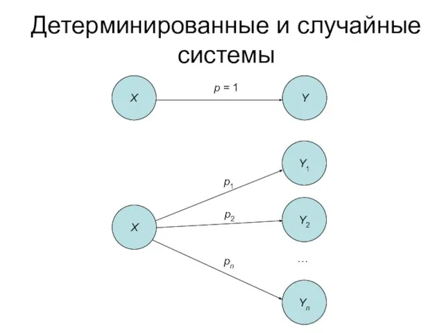 Детерминированные и случайные системы